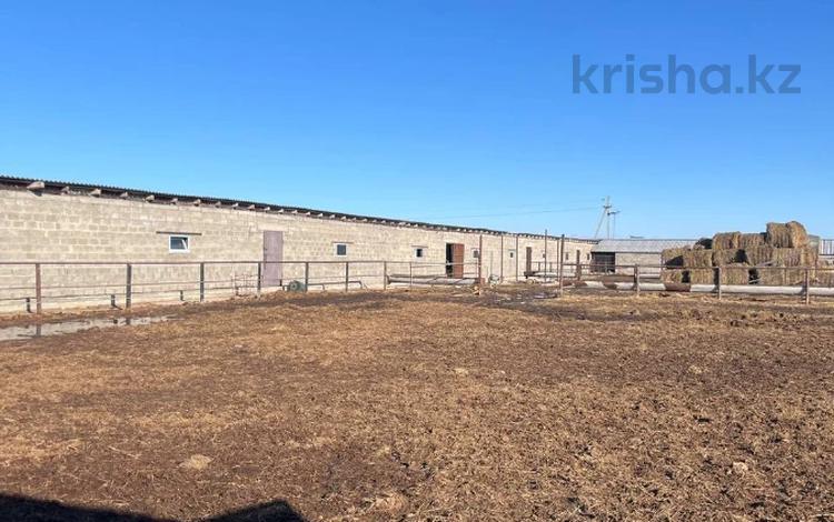 Өнеркәсіптік база · 22 га, 5 микрорайон 1, бағасы: 250 млн ₸ в  — фото 16