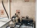 1-комнатная квартира · 30 м² · 2/5 этаж, мкр 5, Проспект Абилкаир-хана 28 — Акимат , Кл.Айгерим , Военная Часть , АГК, Стадион за 10 000 ₸ в Актобе — фото 8