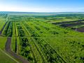 Участок · 100 га, Жибек жолы за 90 млн 〒 в Астане — фото 11