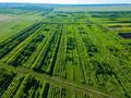Участок · 100 га, Жибек жолы за 90 млн 〒 в Астане — фото 8