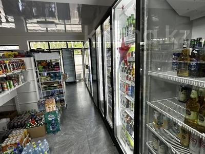Отдельный дом · 6 комнат · 308 м² · 6 сот., Папанина 176 за 135 млн ₸ в Алматы, Турксибский р-н