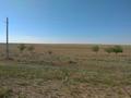 Участок · 23.7 га, Конаев за 500 000 ₸ — фото 2