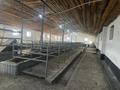 Отдельный дом · 7 комнат · 700 м² · 10 сот., Сайлы 31 — Комсомольский поселок, напротив новой школы за 60 млн ₸ в Семее — фото 99
