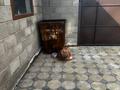 Отдельный дом · 7 комнат · 700 м² · 10 сот., Сайлы 31 — Комсомольский поселок, напротив новой школы за 60 млн ₸ в Семее — фото 83