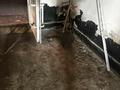 Отдельный дом · 7 комнат · 700 м² · 10 сот., Сайлы 31 — Комсомольский поселок, напротив новой школы за 60 млн ₸ в Семее — фото 92