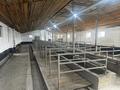 Отдельный дом · 7 комнат · 700 м² · 10 сот., Сайлы 31 — Комсомольский поселок, напротив новой школы за 60 млн ₸ в Семее — фото 96