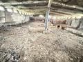 Сельское хозяйство · 70 м² за 21 млн ₸ в Златополье — фото 4