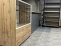 Свободное назначение · 35 м² за 250 000 ₸ в Астане, Алматы р-н — фото 9