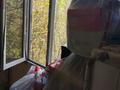 3-бөлмелі пәтер · 56 м² · 5/5 қабат, Мкр Жайлау 24, бағасы: 17 млн ₸ в Таразе — фото 10
