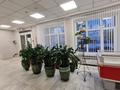 Еркін, дүкендер мен бутиктер · 298.5 м², бағасы: 250 млн ₸ в Костанае — фото 11