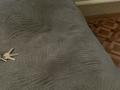 2-бөлмелі пәтер · 70 м² · 2/5 қабат, мкр Аксай-3А 63 — Яссауи, бағасы: 18 000 ₸ в Алматы, Ауэзовский р-н — фото 6