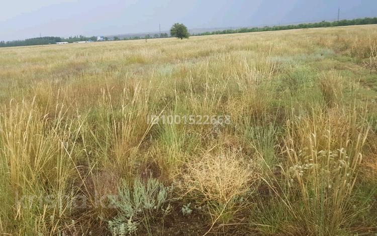 Участок · 10 соток, Ясное 2 — Ауезова за 3 млн 〒 — фото 2