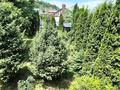 Жеке үй · 8 бөлме · 700 м² · 15 жүзд., Кербулакская 1/9, бағасы: 600 млн ₸ в Алматы, Медеуский р-н — фото 49