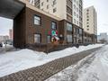 Еркін · 367 м², бағасы: 235 млн ₸ в Астане, Сарайшык р-н — фото 5