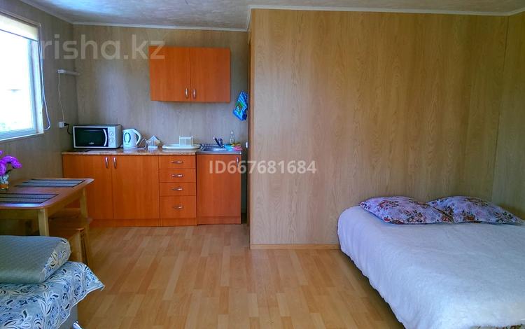 Дом · 1 комната · 20 м², улица Алатау 33 — Кенесары за 7 000 ₸ в Бурабае — фото 2
