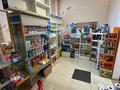 Магазины и бутики · 111 м² за ~ 70 млн ₸ в Усть-Каменогорске — фото 10