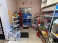 Магазины и бутики · 111 м² за ~ 70 млн ₸ в Усть-Каменогорске — фото 18
