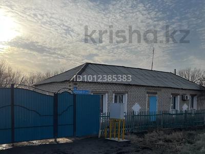 Отдельный дом · 5 комнат · 170 м² · 12 сот., Керейтбаева 31 — Кызылординская обл, Сырдаринский район , поселок Теренозек, ул. Керейтбаева 31 за 12.5 млн ₸