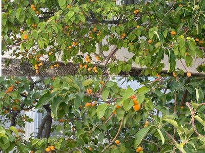 Отдельный дом · 6 комнат · 160 м² · 10 сот., Шаған 23 — улица бани Аққайың за 33 млн ₸ в Атырау, мкр Химпоселок