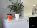 2-комнатная квартира · 140 м² · 9/10 этаж, Райымбека 481в за 450 000 ₸ в Алматы, Алатауский р-н — фото 12