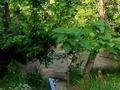 Саяжай · 4 бөлме · 130 м² · 11 жүзд., Тюлькубас , село Кершетас кв.114 — Строение 149, бағасы: 82 млн ₸ в  — фото 11