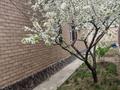 Отдельный дом · 3 комнаты · 135 м² · 8 сот., Куаныш 2 за 46 млн ₸ в Актобе — фото 23