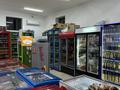 Жеке үй · 5 бөлме · 155 м² · 8 жүзд., Достық ш/а — Муратфарм аптека, бағасы: 140 млн ₸ в Шымкенте, Абайский р-н — фото 14