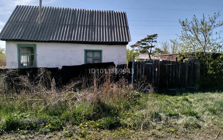Дача · 1 комната · 12 м² · 9 сот., Оптимист, Павлодарская трасса Г 207 за 400 000 ₸ в Караганде, Алихана Бокейханова р-н — фото 11