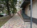 3-комнатная квартира · 45 м² · 1/5 этаж, Казахстан 126 за 14.6 млн ₸ в Усть-Каменогорске — фото 36