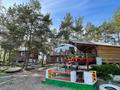 Дом · 4 комнаты · 80 м², Красная Горка — Магазин Кочевник за 35 000 ₸ в Новой бухтарме — фото 55