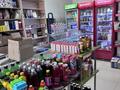 Магазины и бутики · 110 м² за 300 000 〒 в Шымкенте, Каратауский р-н — фото 6