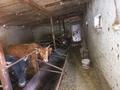 Отдельный дом · 6 комнат · 120 м² · 22 сот., Акбулак 62 — Дом расположен очень в хорошом местечке рядом канал и природа для отдыха за 28.5 млн ₸ в Гродеково — фото 9