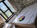 2-бөлмелі пәтер · 74 м² · 3/5 қабат, Кабанбай батыра, бағасы: 28 млн ₸ в Шымкенте, Аль-Фарабийский р-н — фото 46