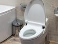 Отдельный дом · 10 комнат · 1500 м² · 56 сот., мкр Бутаковка за 2 млрд ₸ в Алматы, Медеуский р-н — фото 45