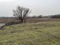 Жер телімі · 7 сотық, Новостройка — Belbulak Village-2 после населенного пункта Туздыбастау, бағасы: 18 млн ₸ в Бельбулаке (Мичурино) — фото 9