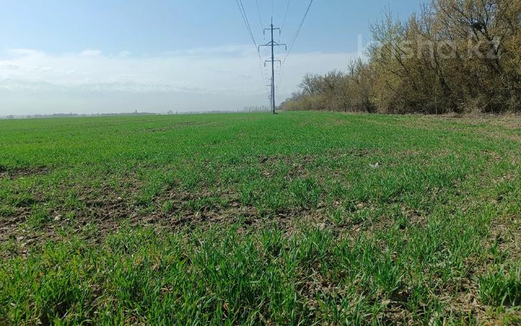 Жер телімі · 8.8 га, Ул Аркабай, бағасы: 70 млн ₸ в Байсерке — фото 7