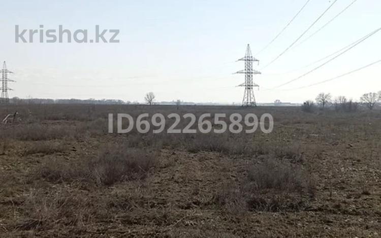 Жер телімі · 1.5 га, Жанадаур, бағасы: 180 млн ₸ в Алатау — фото 2