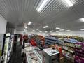 Свободное назначение, магазины и бутики · 420 м² за 100 млн 〒 в Баяндах — фото 6