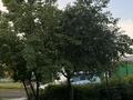 Жеке үй · 5 бөлме · 180 м² · 12 жүзд., Мектеп 1, бағасы: 20 млн ₸ в  — фото 3