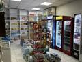Магазины и бутики · 52 м² за 300 000 ₸ в Алматы, Наурызбайский р-н