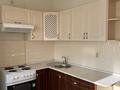 1-комнатная квартира · 47 м² · 8/9 этаж, Туркестана 34/1 за 250 000 ₸ в Астане, Есильский р-н — фото 6
