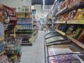 Магазины и бутики · 106 м² за 299 млн ₸ в Астане, Есильский р-н — фото 11