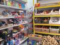 Магазины и бутики · 106 м² за 299 млн ₸ в Астане, Есильский р-н — фото 18