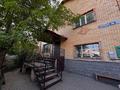 Дом · 4 комнаты · 350 м², Саркан 24 за 50 000 〒 в Астане, Алматы р-н — фото 2