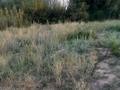 Жеке үй · 4 бөлме · 56 м² · 16 жүзд., Мира 13, бағасы: 21 млн ₸ в Байдибек би — фото 2