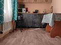 Отдельный дом · 2 комнаты · 100 м², СДО Дружба 113 — СДО Дружба центральная 113 за 8 млн ₸ в Усть-Каменогорске, Ахмирово — фото 5