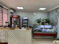Свободное назначение · 180 м² за 300 млн ₸ в Байкент — фото 10