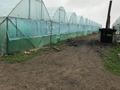 Сельское хозяйство · 67 м² за 320 млн 〒 в  — фото 16