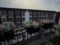 3-бөлмелі пәтер · 45.5 м² · 6/6 қабат, мкр Нуркент, бағасы: 46 млн ₸ в Алматы, Алатауский р-н — фото 9