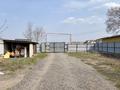 Отдельный дом · 4 комнаты · 60 м² · 4 сот., мкр Нуршашкан (Колхозши), Нурпейсова 24 — Район Аэропорт за 30 млн ₸ в Алматы, Турксибский р-н — фото 9